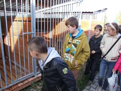 schronisko _lublin_06.jpg